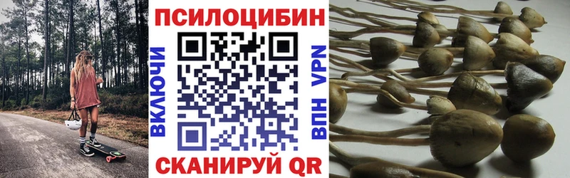 закладки  Чердынь  нарко площадка телеграм  Псилоцибиновые грибы Psilocybe 