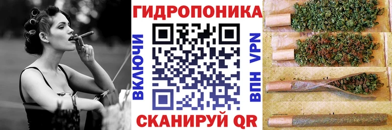 Бошки Шишки планчик  Чердынь 